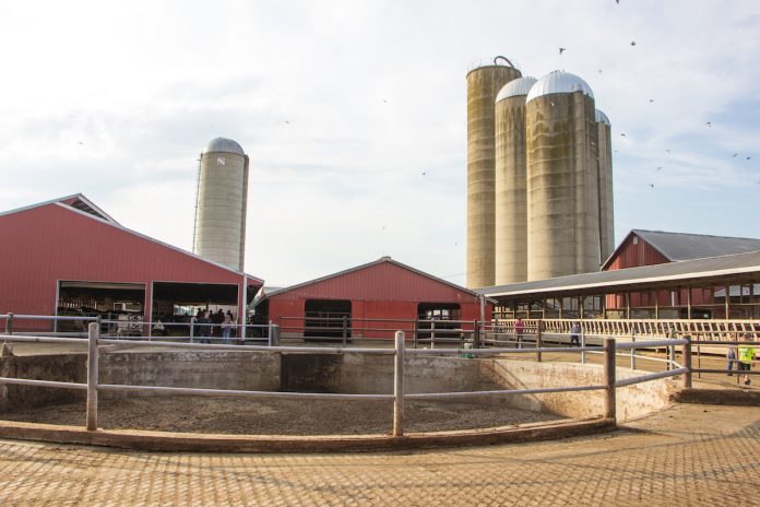 Manure management