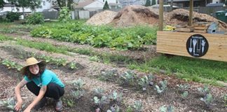 Urban farm