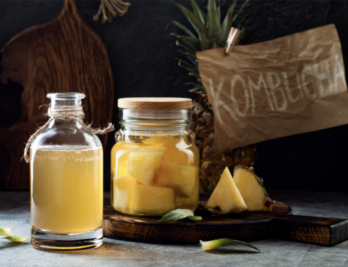 Kombucha Kombucha