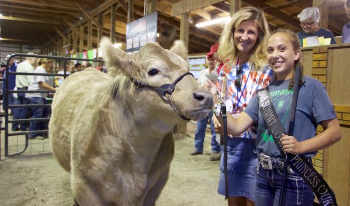 Summit_gr_steer Summit-County Fair champion steer