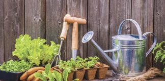 gardening news