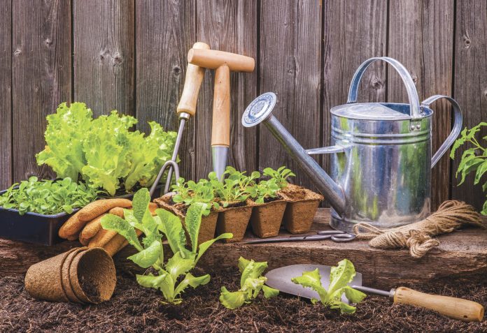 gardening news gardening news