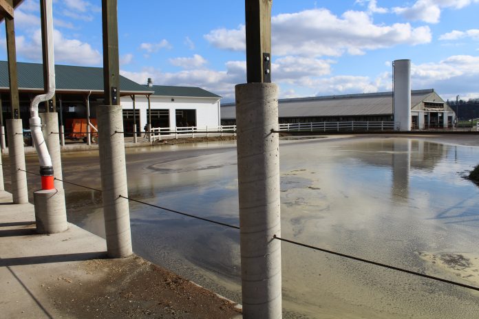 gypsum laced manure gypsum laced manure