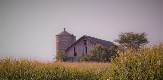 Old farm