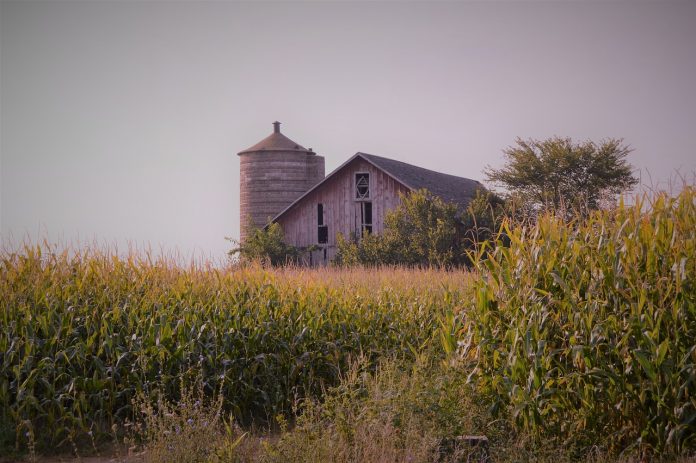 Old farm Old farm
