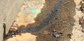 septic health