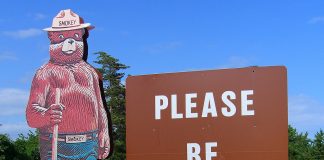 smokey bear