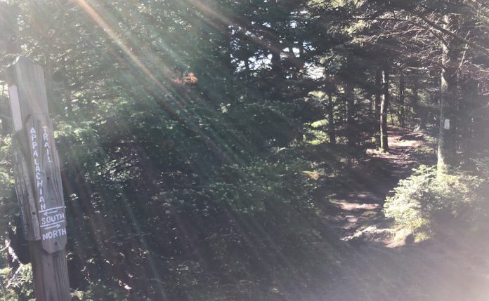 trail sign and blaze