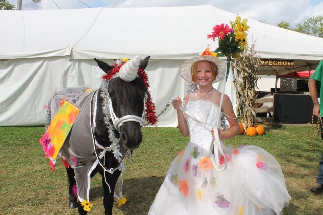 Horse costume contest