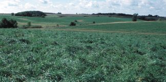 land in CRP