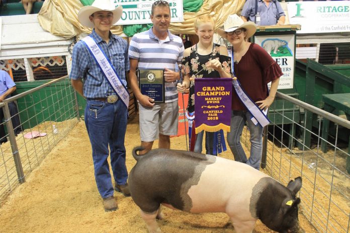 Canfield Fair grand champion hog Canfield Fair grand champion hog