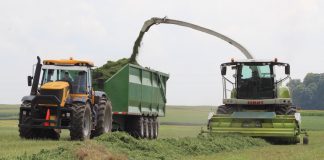 Harvesting hay silage