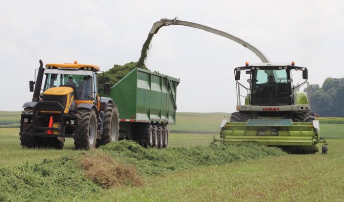 Chopping 1 Harvesting hay silage