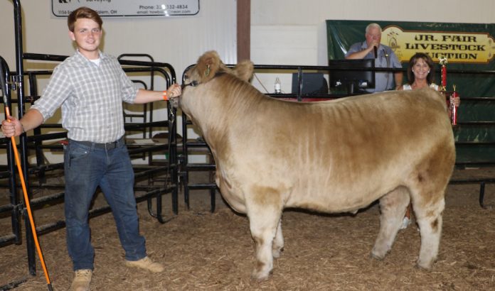 Columbiana-grand-steer