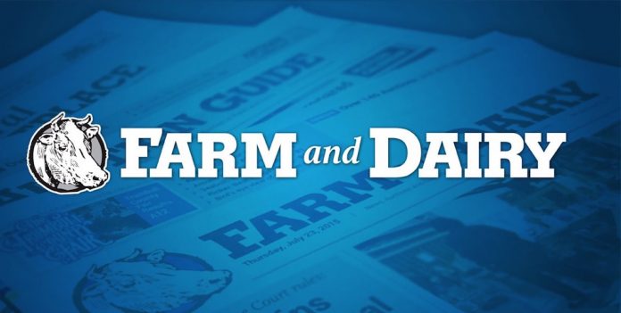 Farm and Dairy logo Farm and Dairy logo