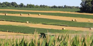 Ohio farmland