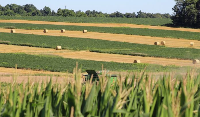 Farmland open Ohio farmland