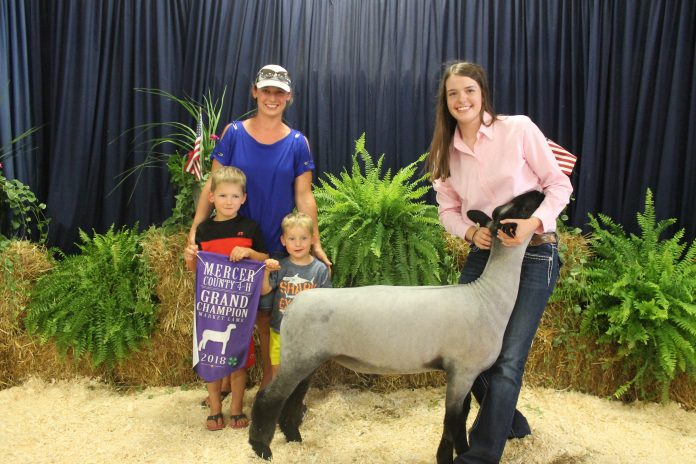 Mercer_grand_lamb