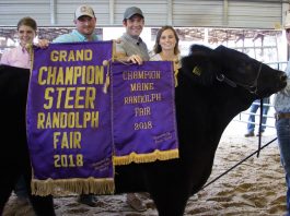 Portage County Fair