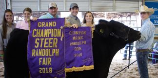 Portage County Fair