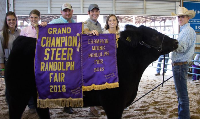 Portage_gr_steer-featured Portage County Fair