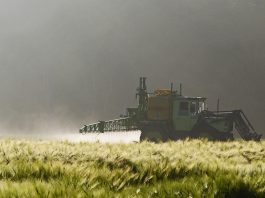 pesticides