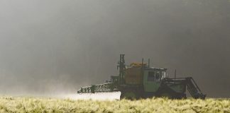 pesticides