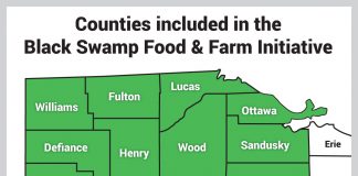 black swamp map