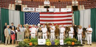all-american supreme