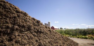 silage pile