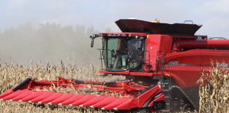 combining corn