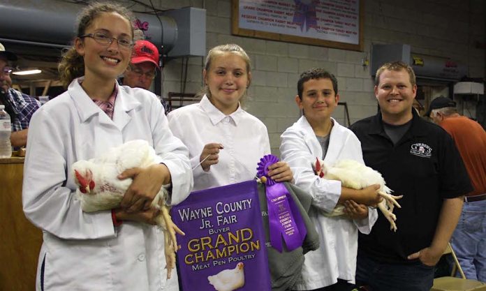 Champ Broilers champion broilers