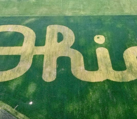 AFA student ambassadors welcomed Script Ohio in soybeans