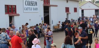 Wayne County Fair