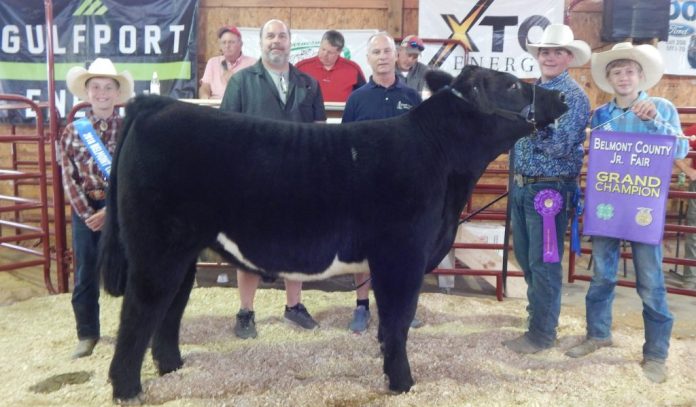 belmont_gr_steer