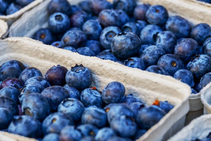 blueberries blueberries