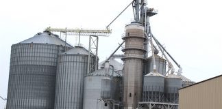 grain bins