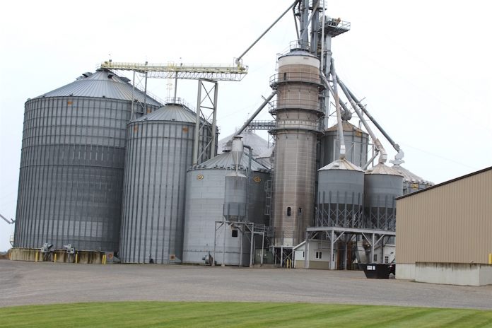 grain bin safety grain bins