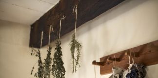 drying herbs