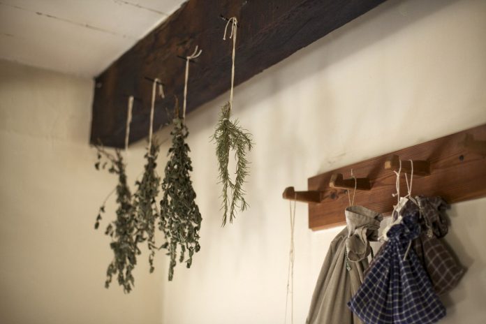 drying herbs drying herbs