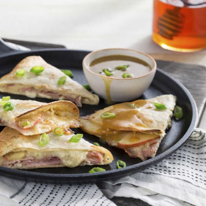 hsa-quesadilla