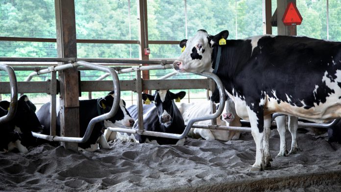 UP_2018_0534_034.CR2 manure separator