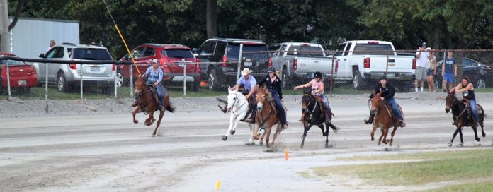 mule racing 5