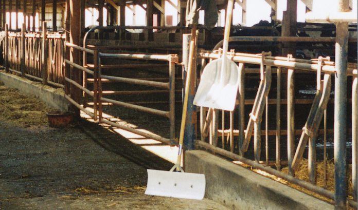 empty dairy barn empty dairy barn