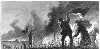 western fires