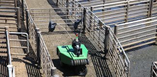 Cargill cattle robot