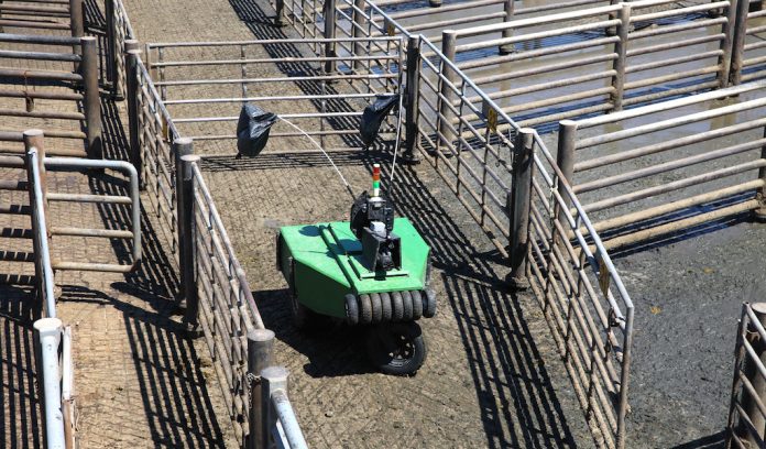 Cattle Driver Robot - Schuyler NE - 5-21-2018 - 300 dpi Cargill cattle robot
