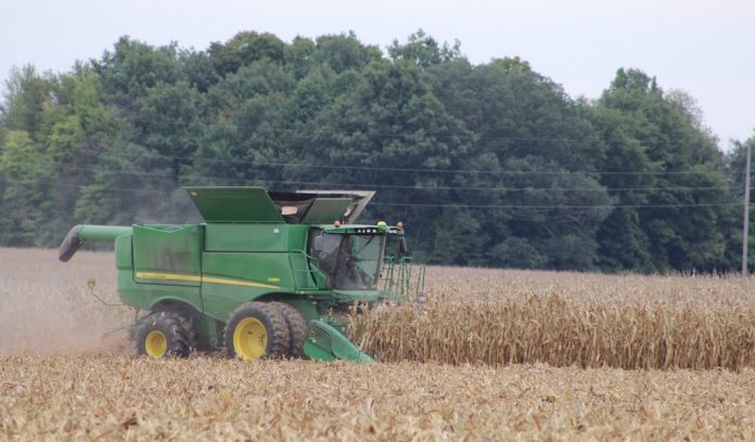 Harvest wide corn harvest
