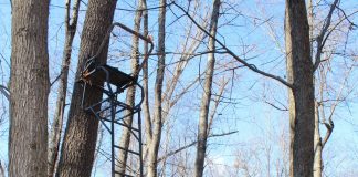 tree stand