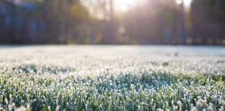 frost